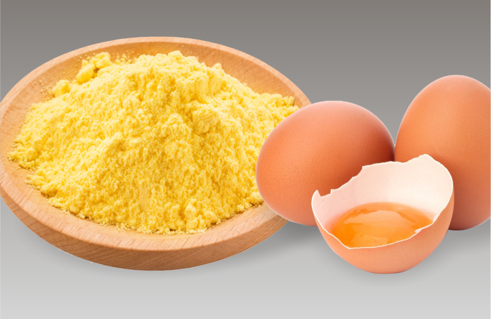 egg yolk powder